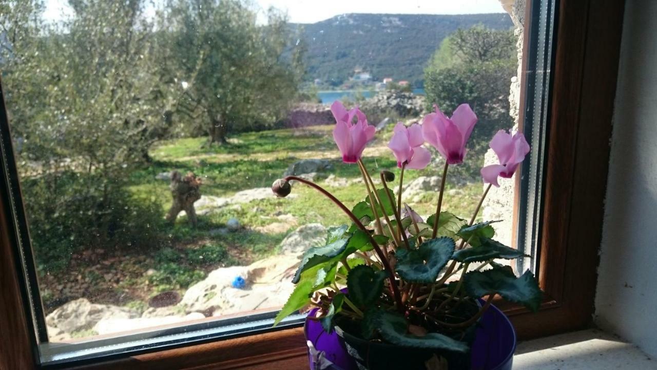 Holiday Home Strpuncina Luka  Eksteriør bilde